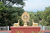 Kangra Valley - Norbulingka Institute - the Dharma Wheel flanked by deers of the main temple